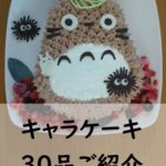 [保存版]主婦が本気で作ったお誕生日のキャラケーキレシピ厳選30品ご紹介!